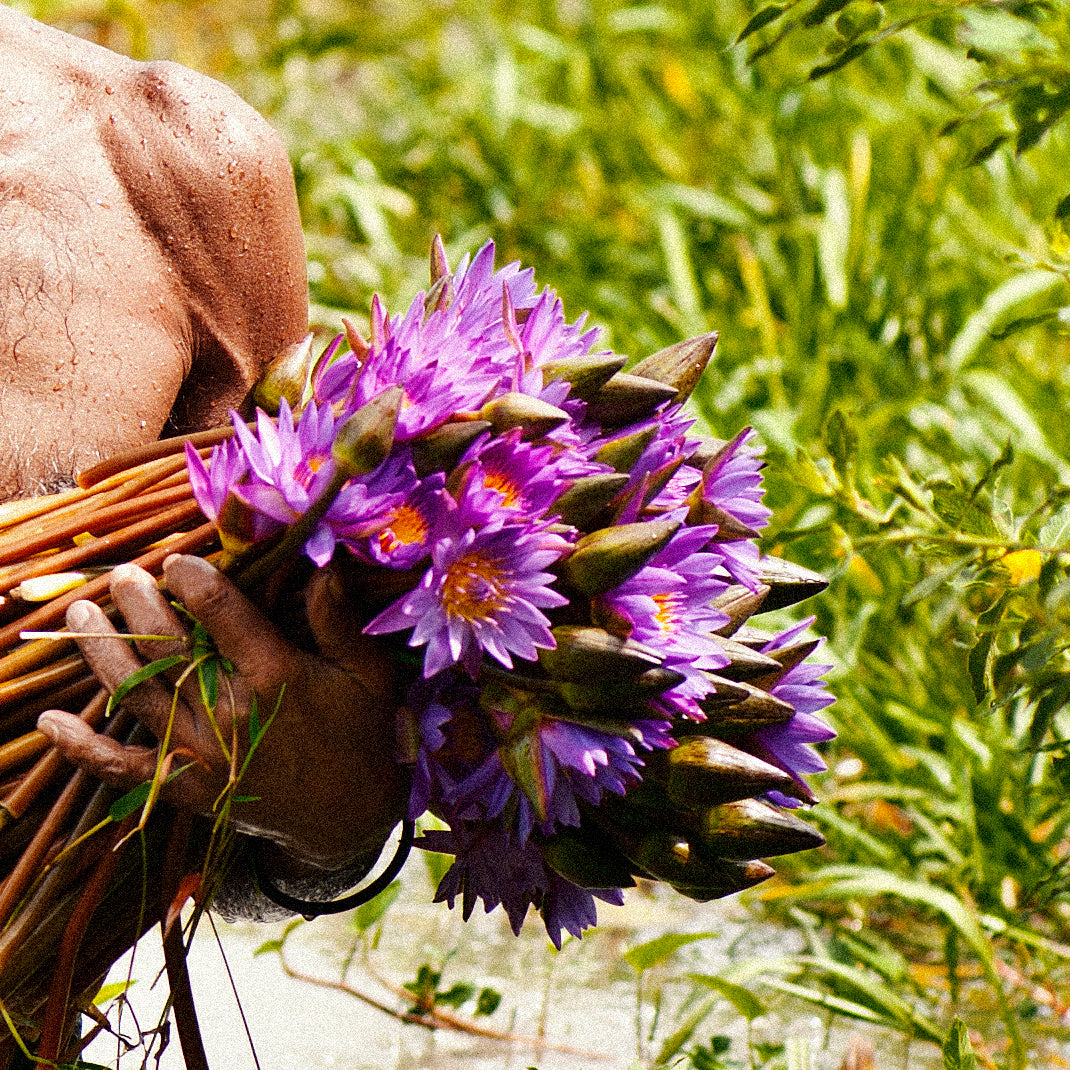 Man Holding Blue Lotus Flower